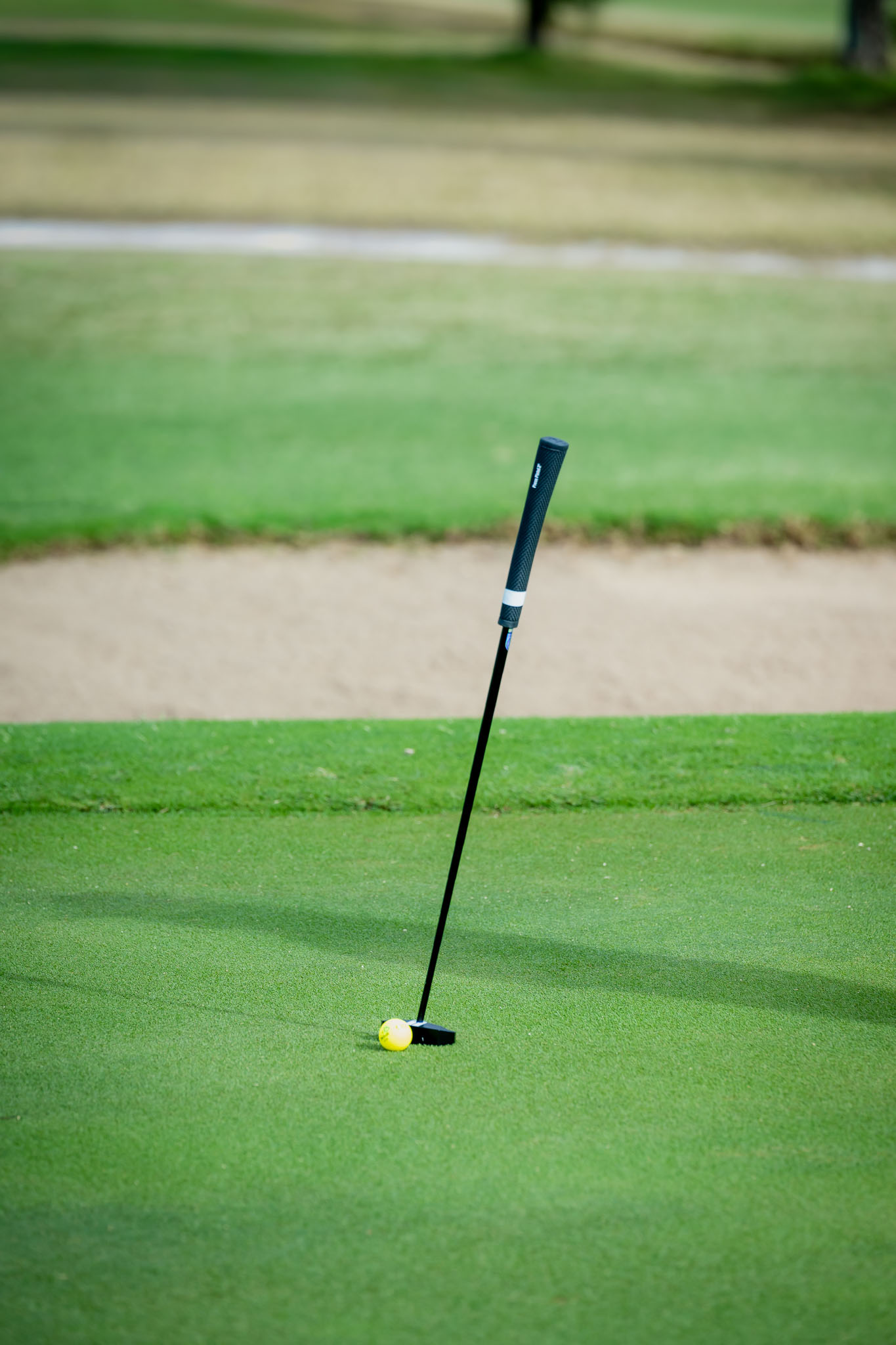 AI2_4727.jpg